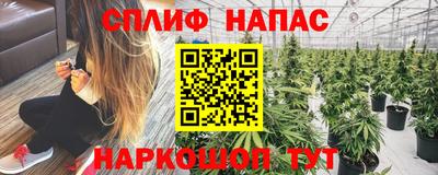 гидра Кинель