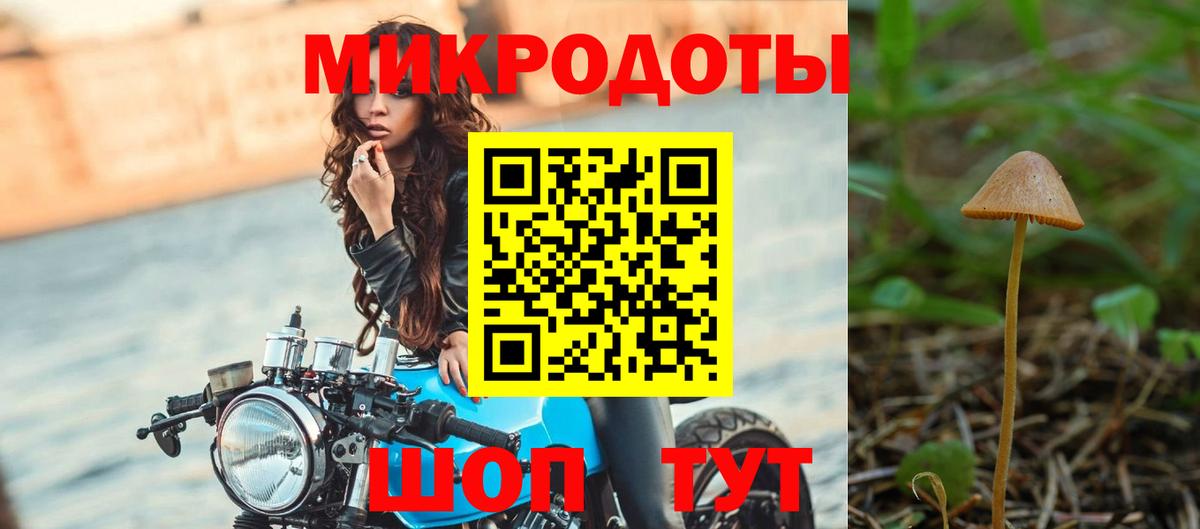 Галлюциногенные грибы Psilocybe Губаха
